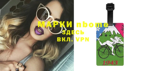 индика Алексин