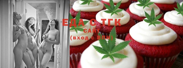 индика Алексин