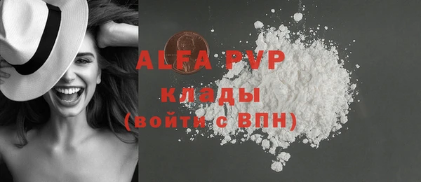 индика Алексин