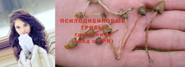 индика Алексин