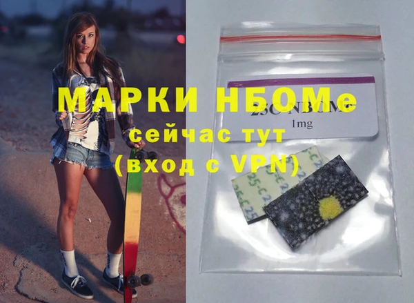 индика Алексин
