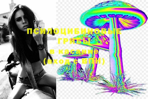 индика Алексин