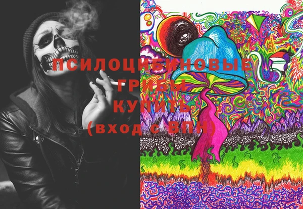 индика Алексин