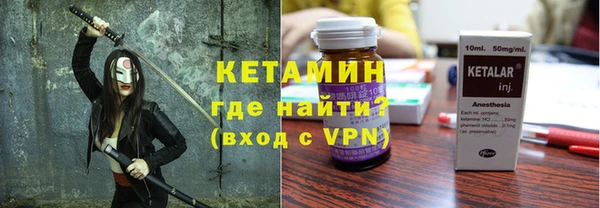 индика Алексин
