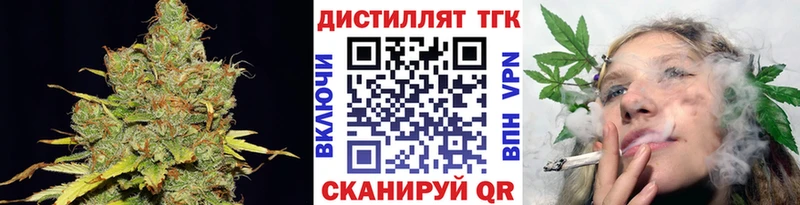 где можно купить   Сенгилей  ТГК жижа 