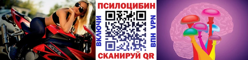 ОМГ ОМГ маркетплейс  Сенгилей  Галлюциногенные грибы Psilocybine cubensis 